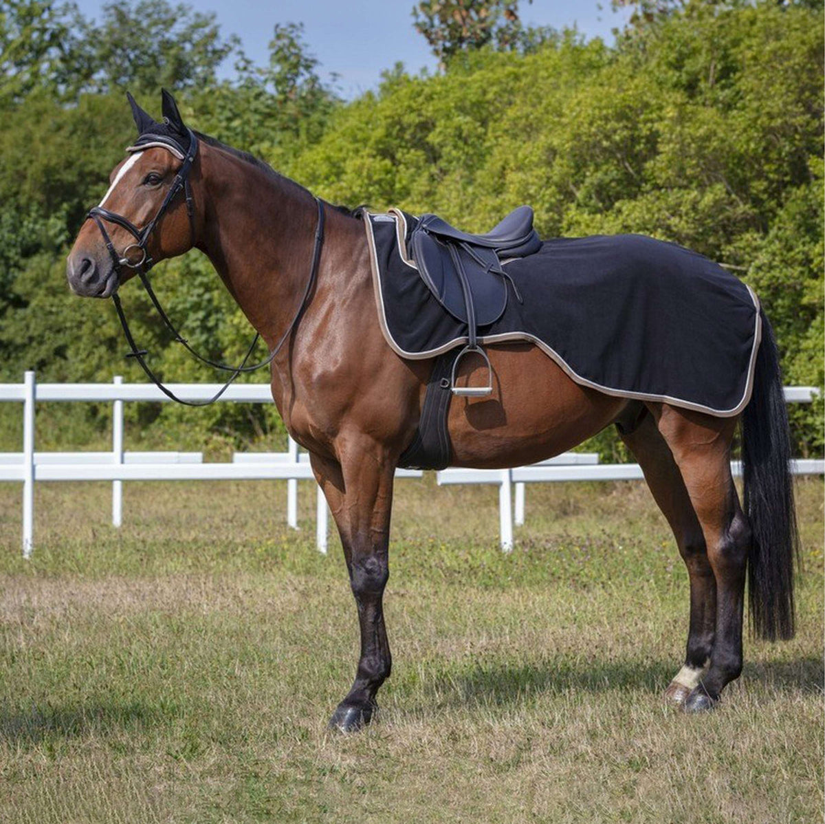 EQUITHÈME Exercise Rug Polyfun Navy