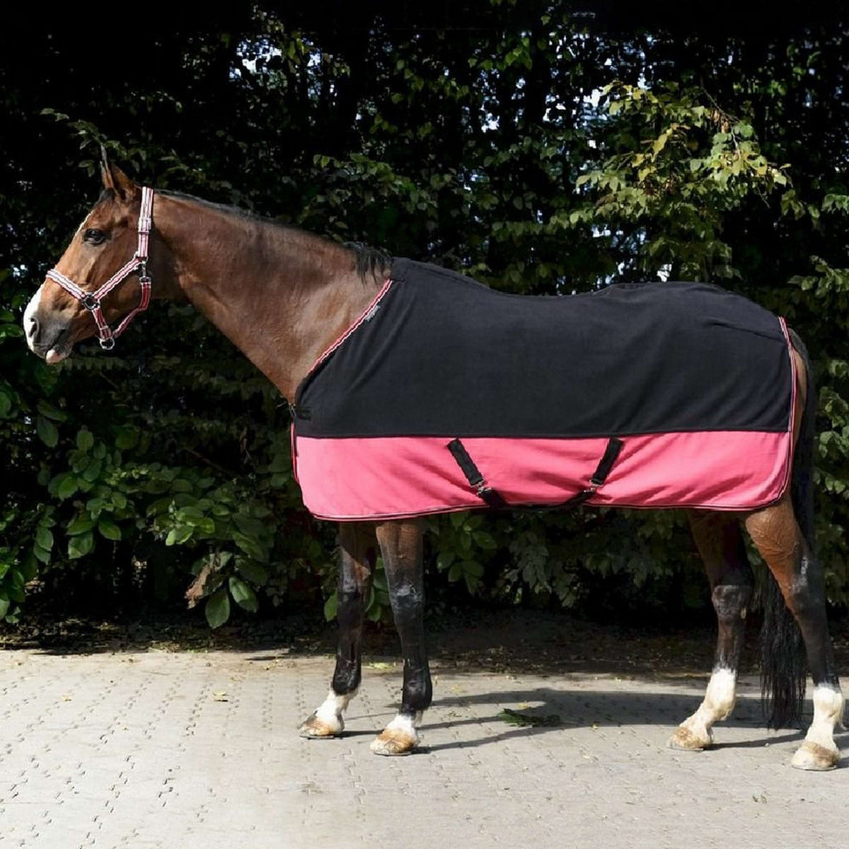 EQUITHÈME Fleece Rug Summer Black/Raspberry