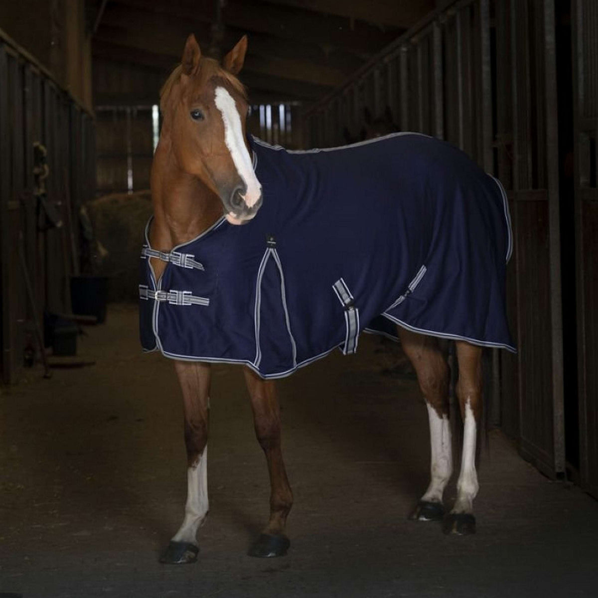 EQUITHÈME Sweat Rug Sweat Navy