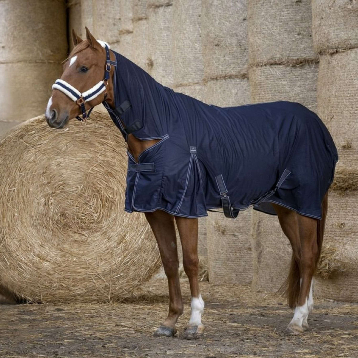 EQUITHÈME Rug Cool Dry Combo Navy