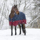 EQUITHÈME Outdoor Rug Tyrex 1200D 150g Navy/Bordeaux