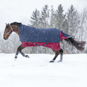 EQUITHÈME Outdoor Rug Tyrex 1200D 150g with Half Neck Navy/Bordeaux