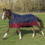 EQUITHÈME Outdoor Rug Tyrex 1200D 0g with Half Neck Navy/Bordeaux