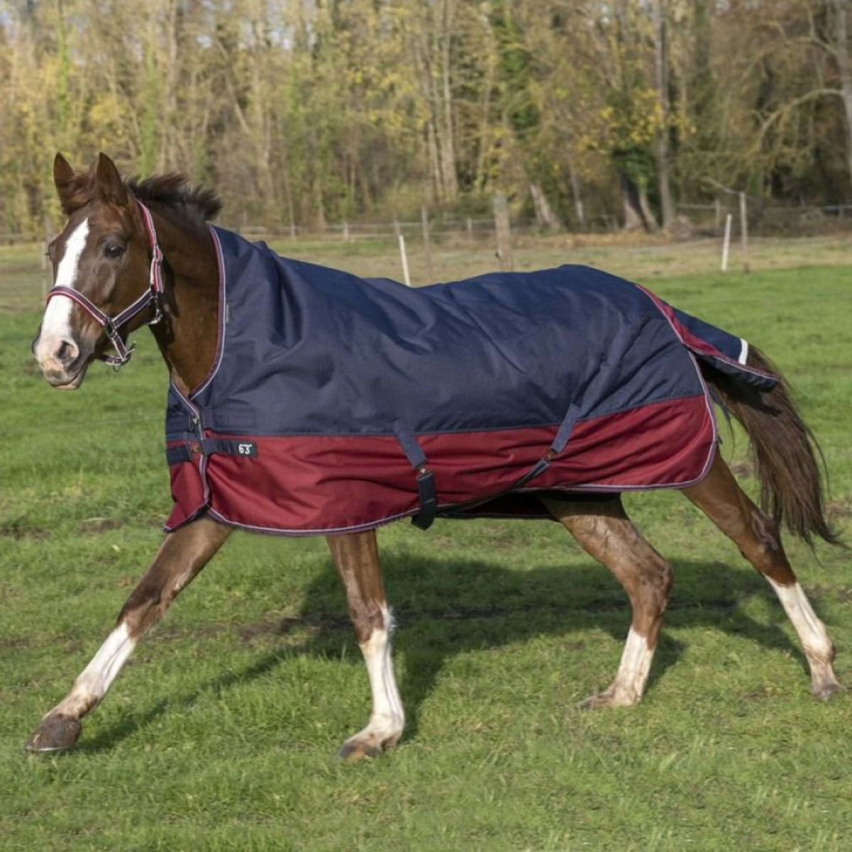 EQUITHÈME Outdoor Rug Tyrex 1200D 50g with Half Neck Navy/Bordeaux