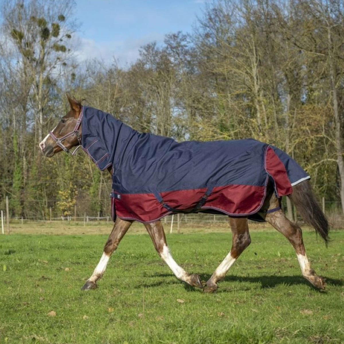 EQUITHÈME Outdoor Rug Tyrex 1200D 200g with a Hood Navy/Bordeaux