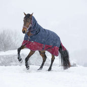 EQUITHÈME Outdoor Rug Tyrex 1200D 350g with a Hood Navy/Bordeaux