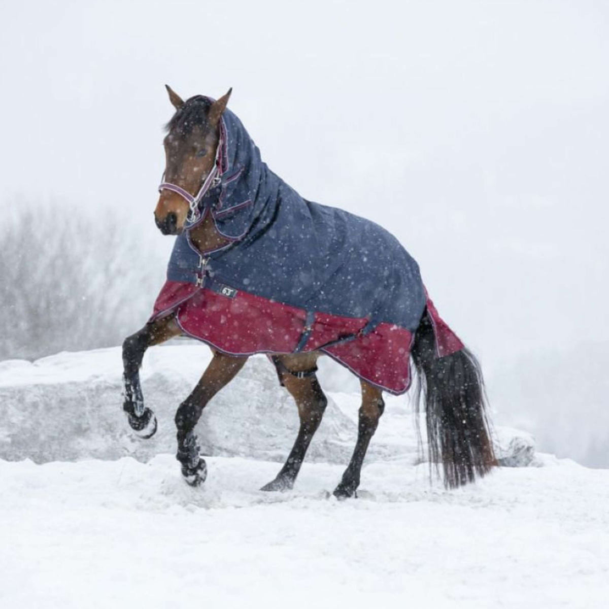 EQUITHÈME Outdoor Rug Tyrex 1200D 200g with a Hood Navy/Bordeaux