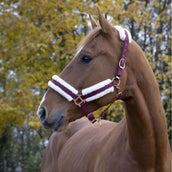 Norton Halter Confort Bordeaux