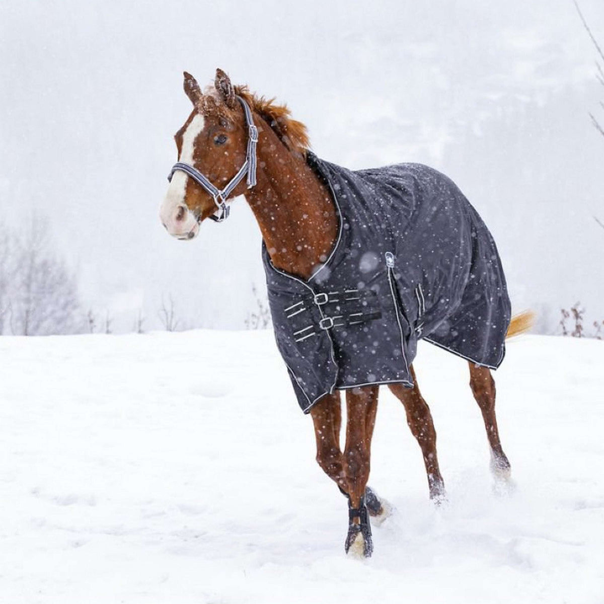 Riding World Outdoor Rug Oxford 220g Black