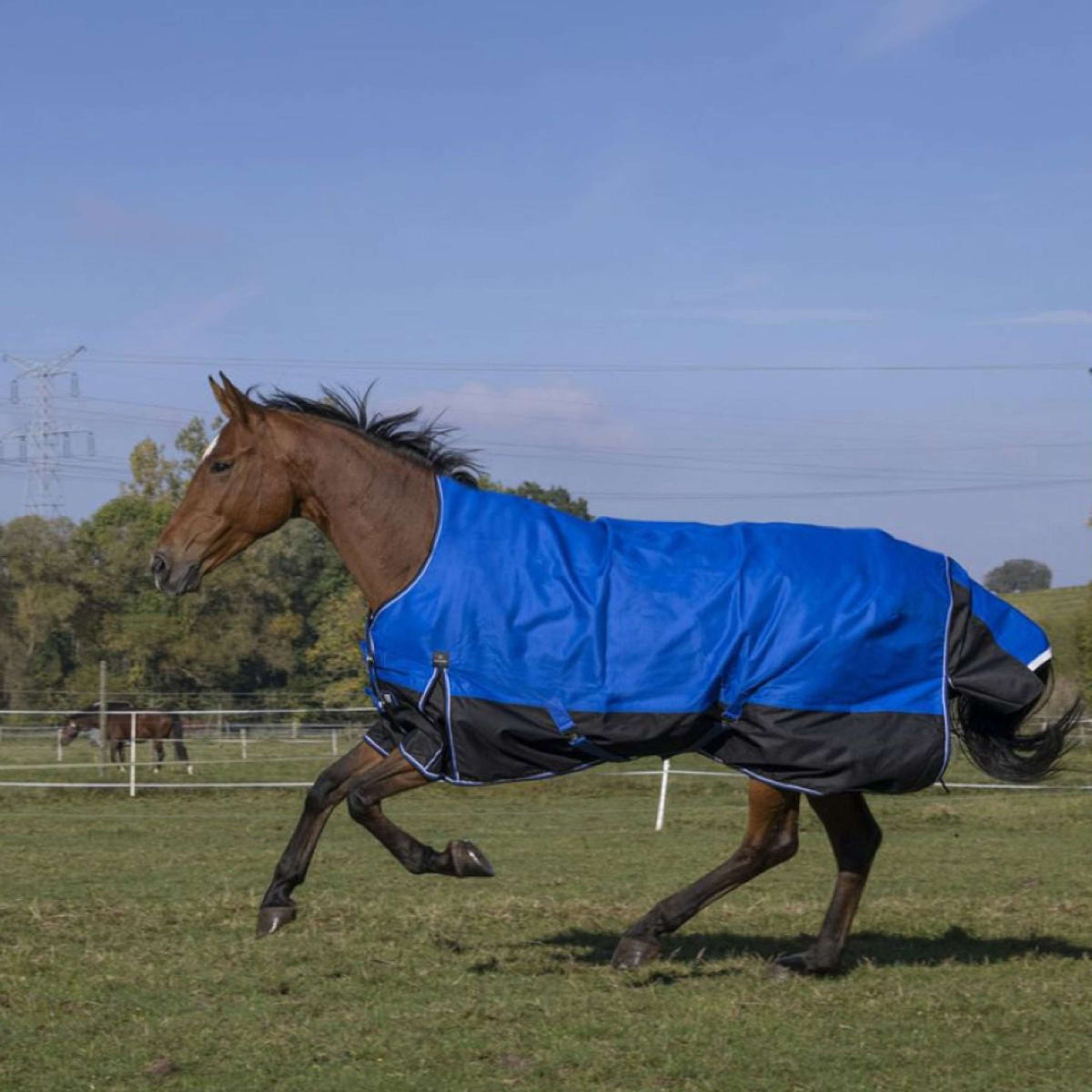 EQUITHÈME Outdoor Rug Tyrex 1200D Aisance 150g with Half Neck Blue/Black