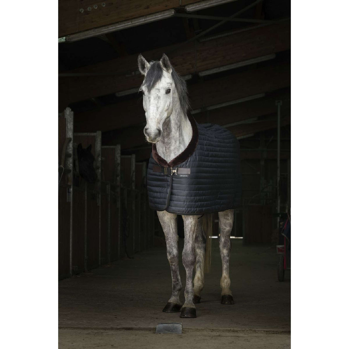 EQUITHÈME Stable Rug Teddy Lined with Synthetic Sheepskin Black/Brown