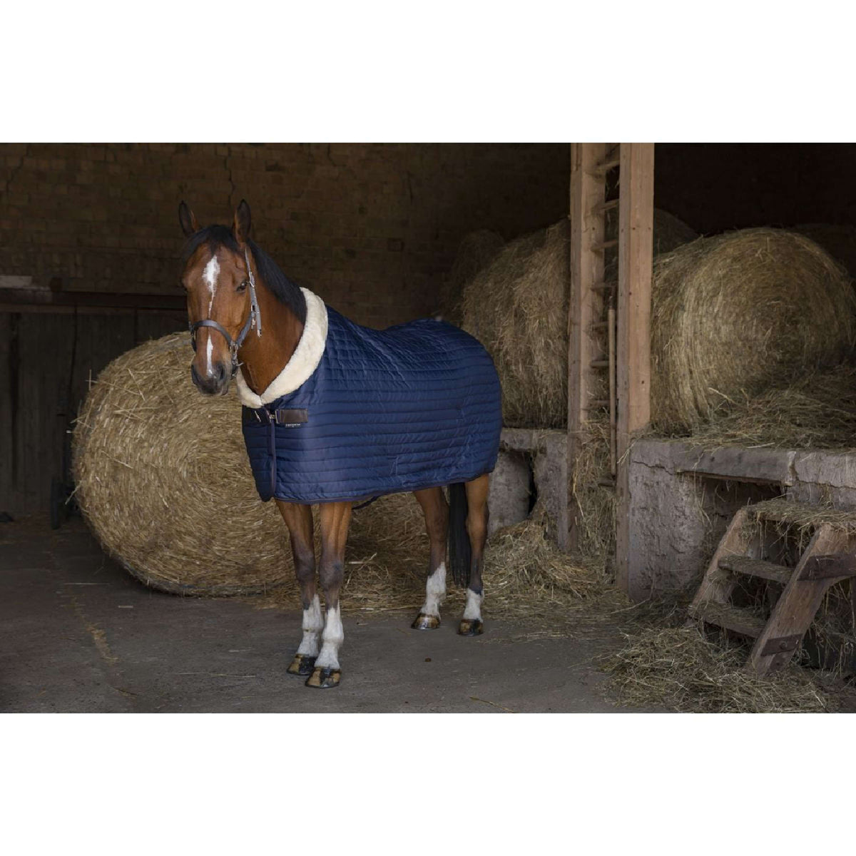 EQUITHÈME Stable Rug Teddy Lined with Synthetic Sheepskin Navy