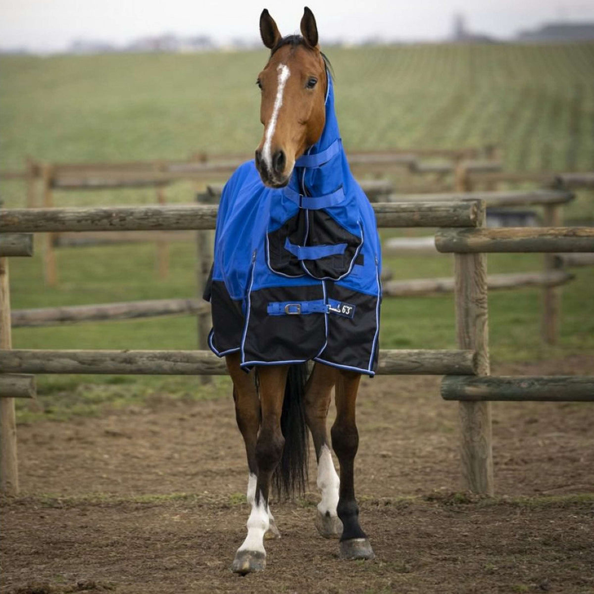 EQUITHÈME Outdoor Rug Tyrex 1200D Aisance 300g with a Hood Blue/Black