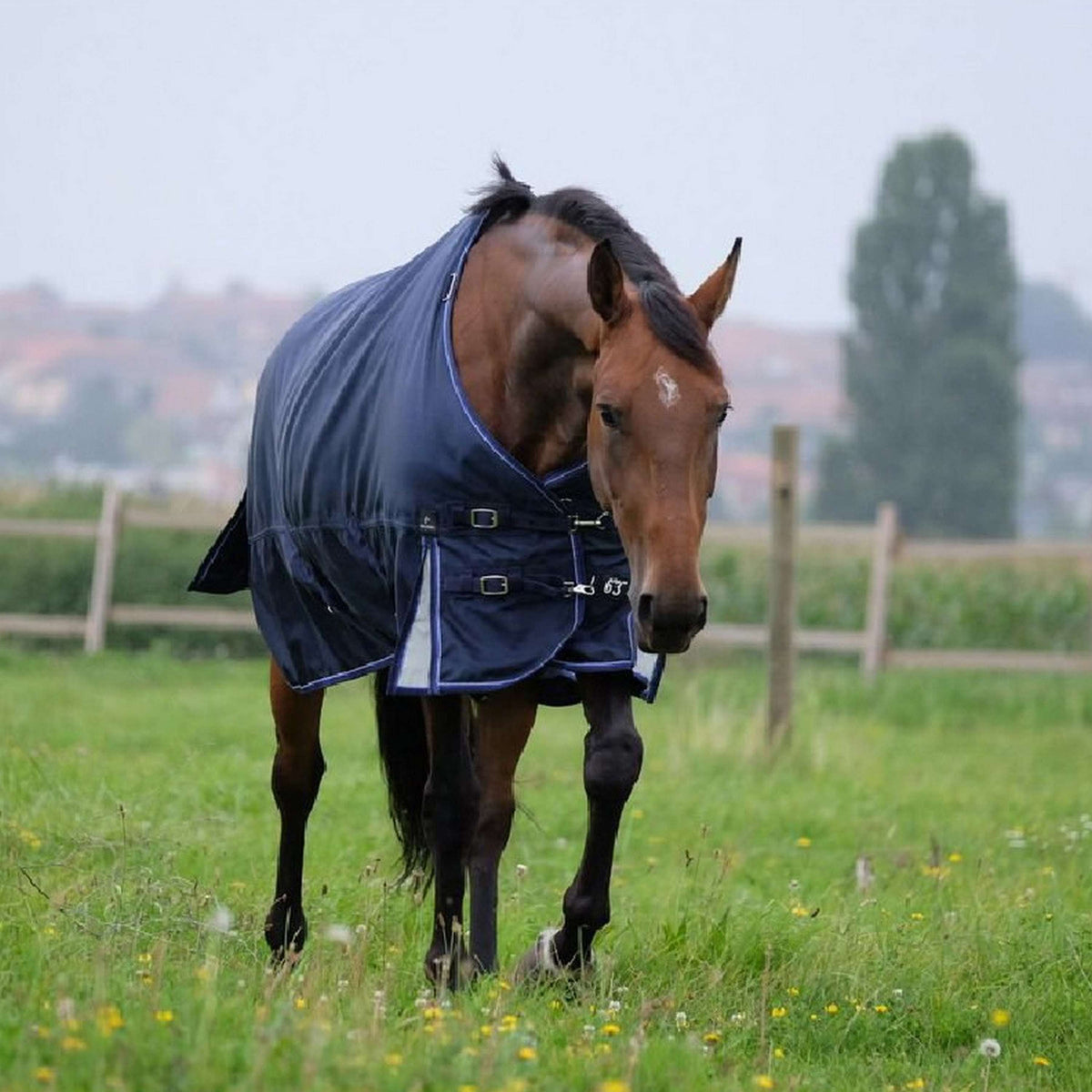 EQUITHÈME Outdoor Rug Pro Series Tyrex 1680D 220g with a Hood Navy