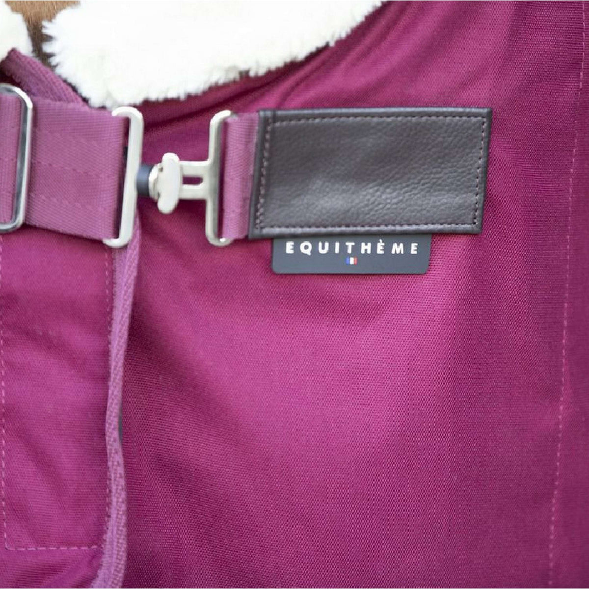 EQUITHÈME Cooler Teddy Burgundy/Off White