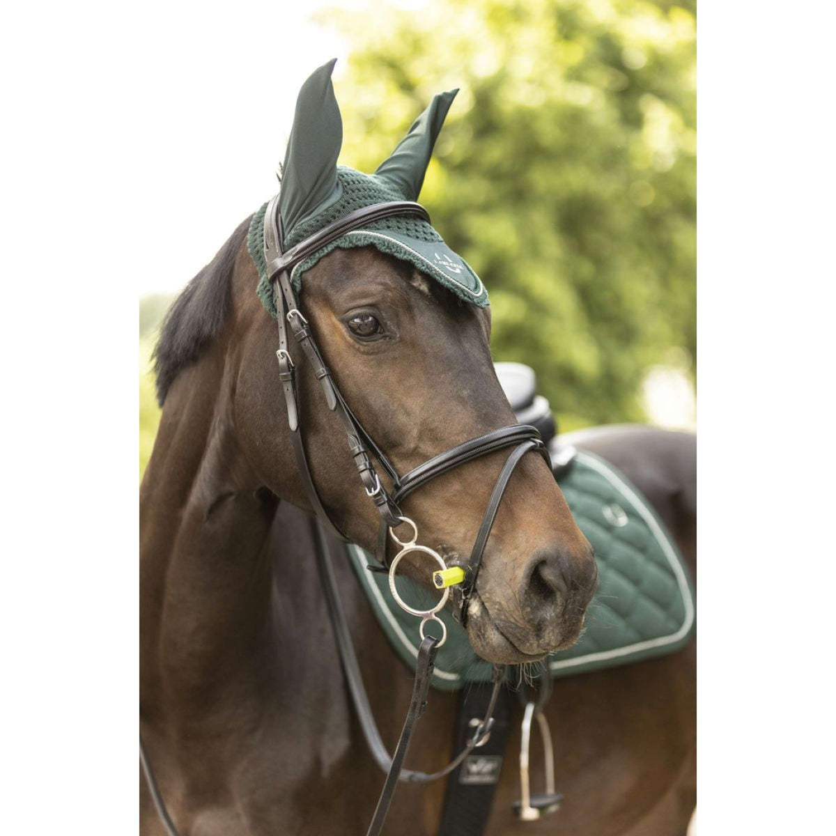 Lami-Cell Ear Bonnet LC Dark Green