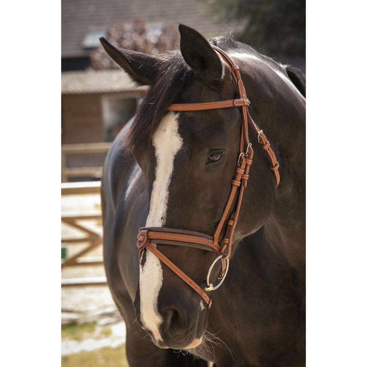 Pénélope Bridle Elégance Havana