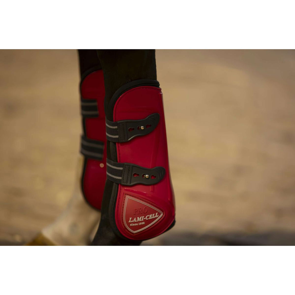 Lami-Cell Tendon Protectors and Fetlock Boots Red