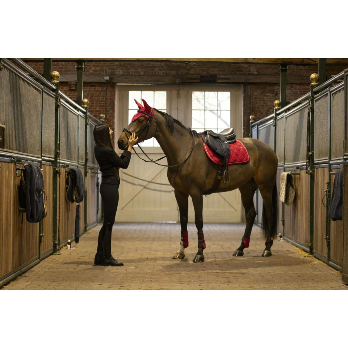 Lami-Cell Tendon Protectors and Fetlock Boots Red