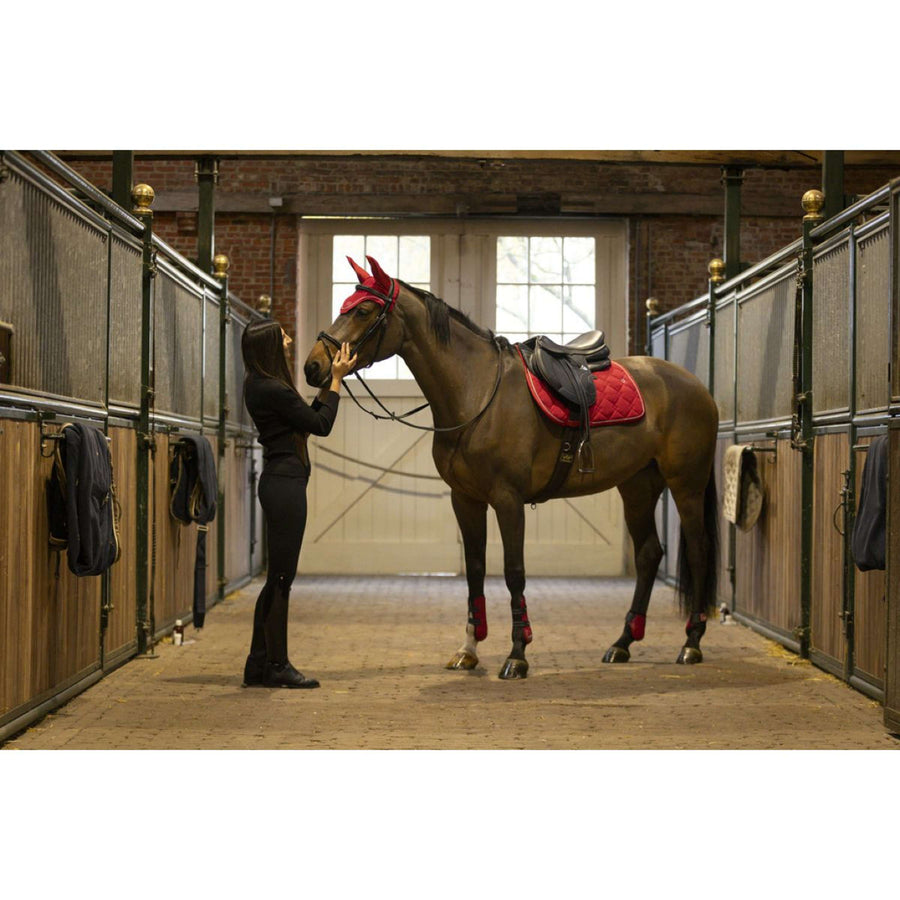 Lami-Cell Tendon Protectors and Fetlock Boots Red
