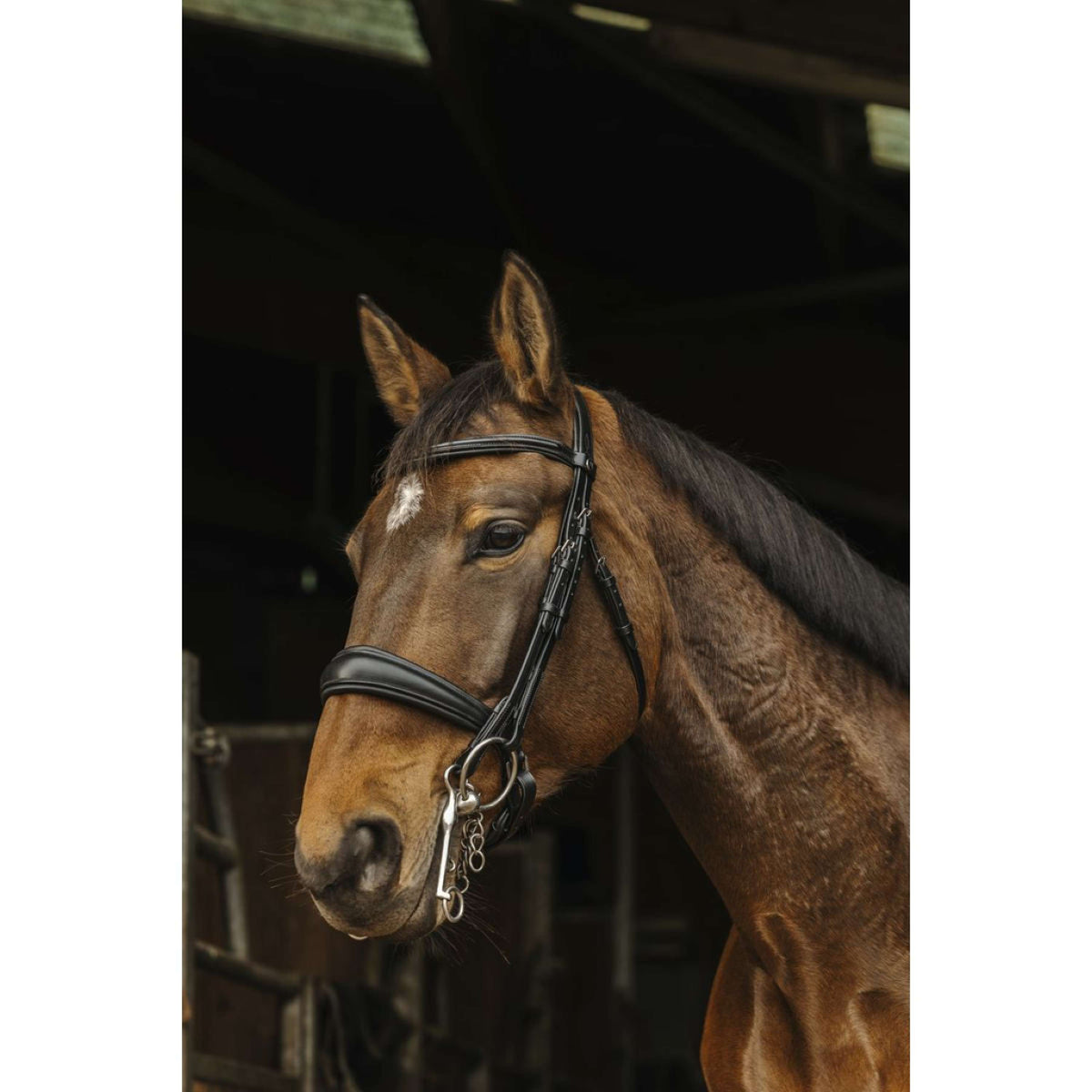 Norton Double Bridle Basal Black