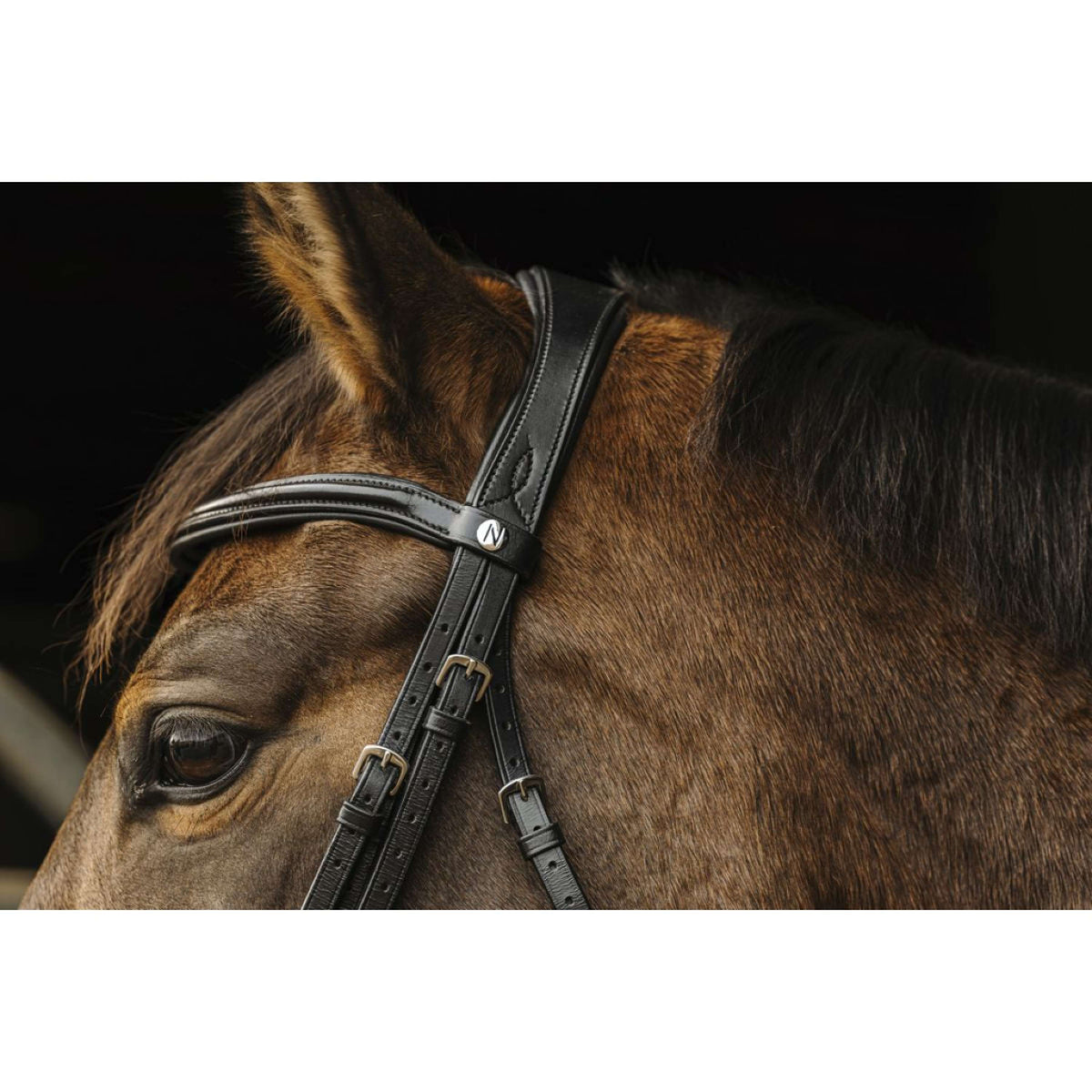 Norton Double Bridle Basal Black