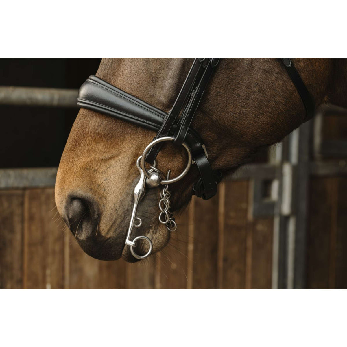 Norton Double Bridle Basal Black