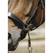 Norton Bitless Bridle Black