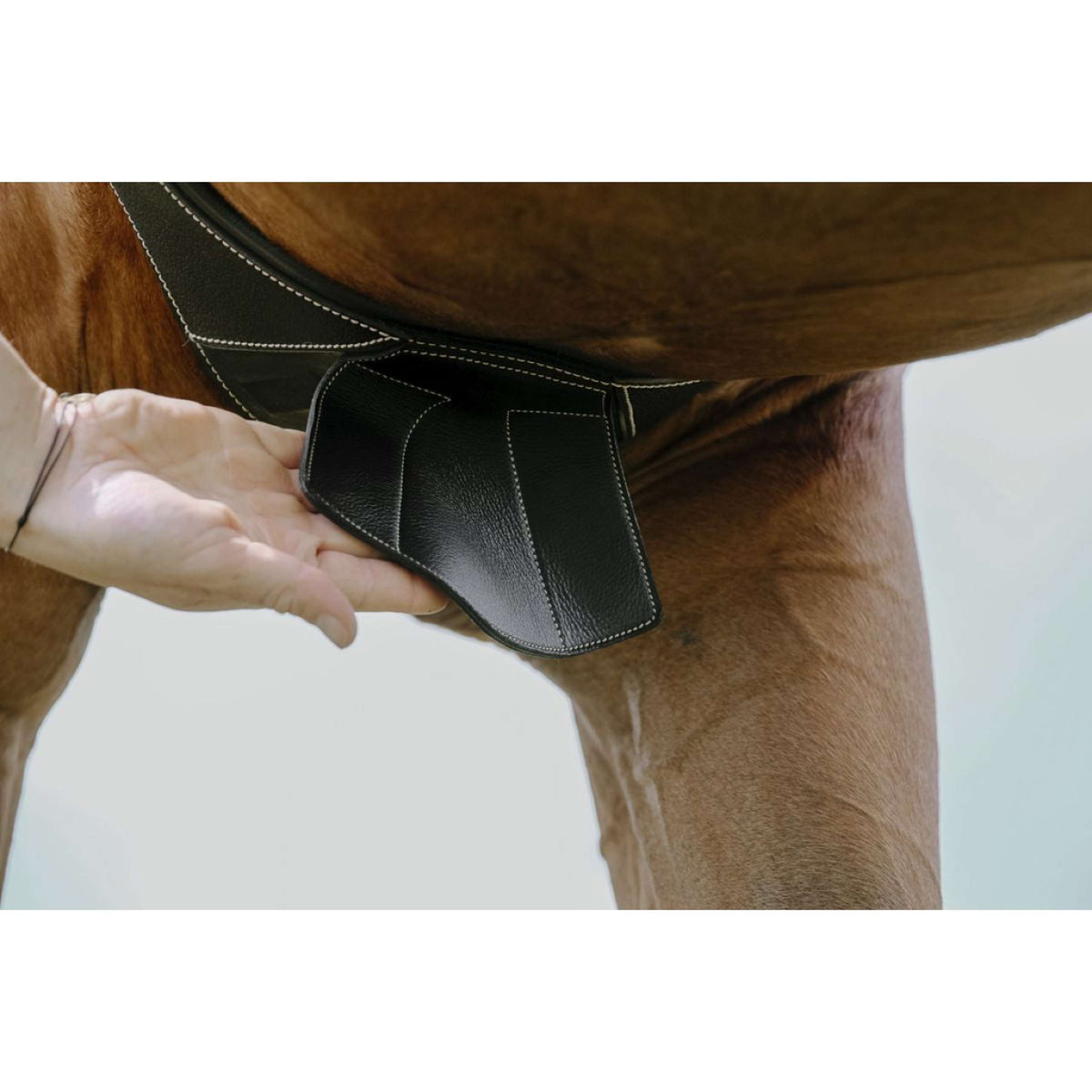 Norton Girth Magnet Anatomic Black