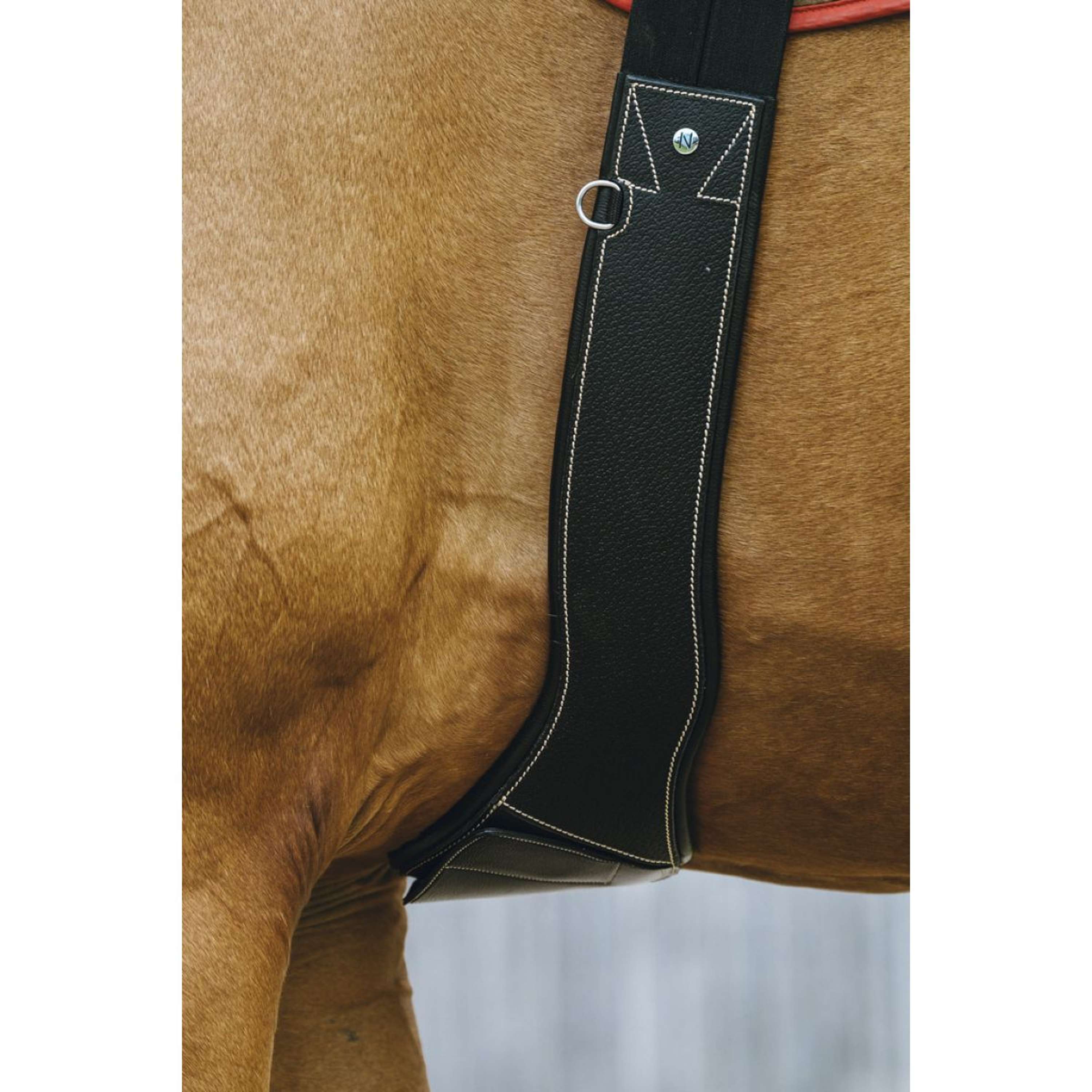 Norton Girth Magnet Anatomic Black