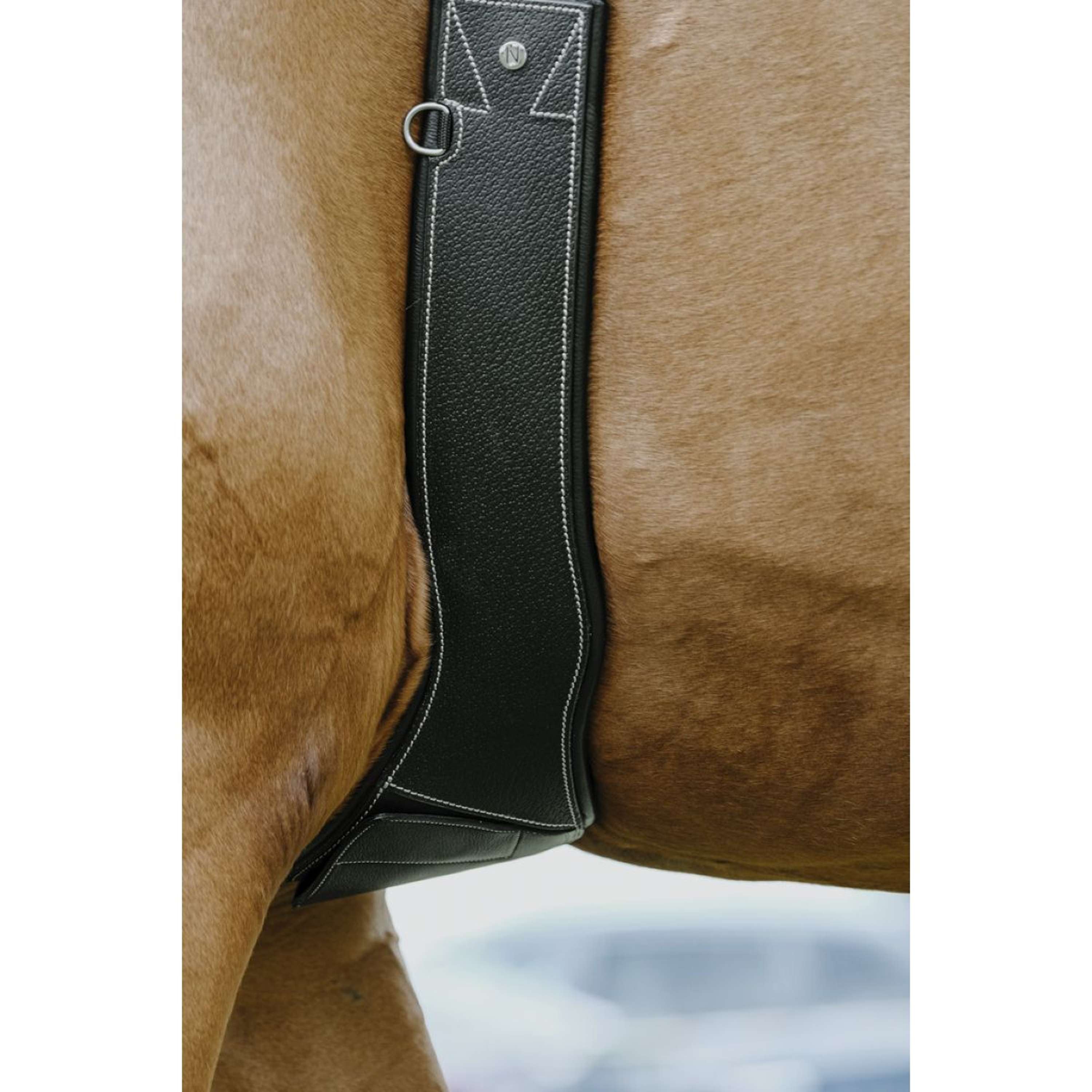 Norton Girth Magnet Anatomic Black
