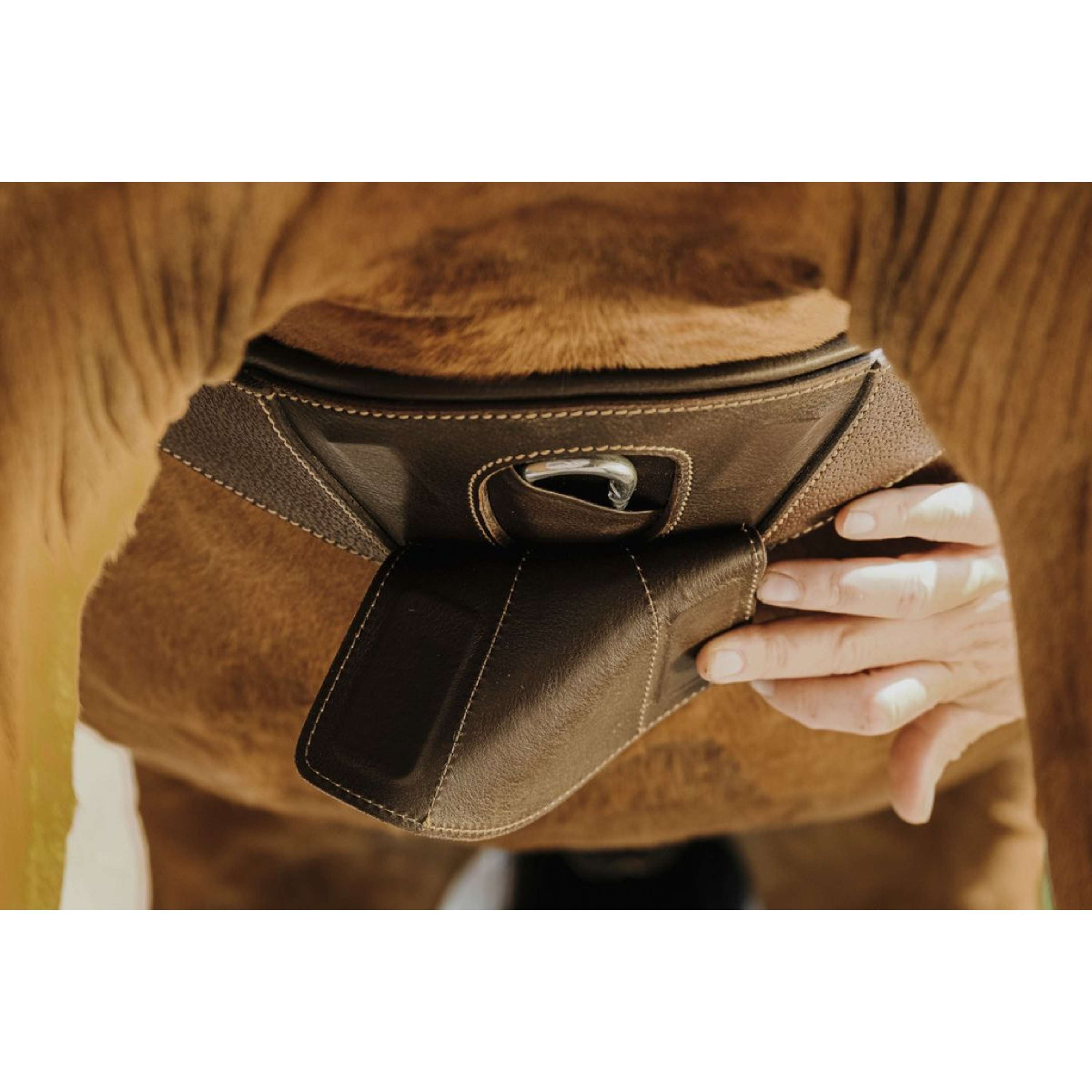 Norton Girth Magnet Anatomic Havana
