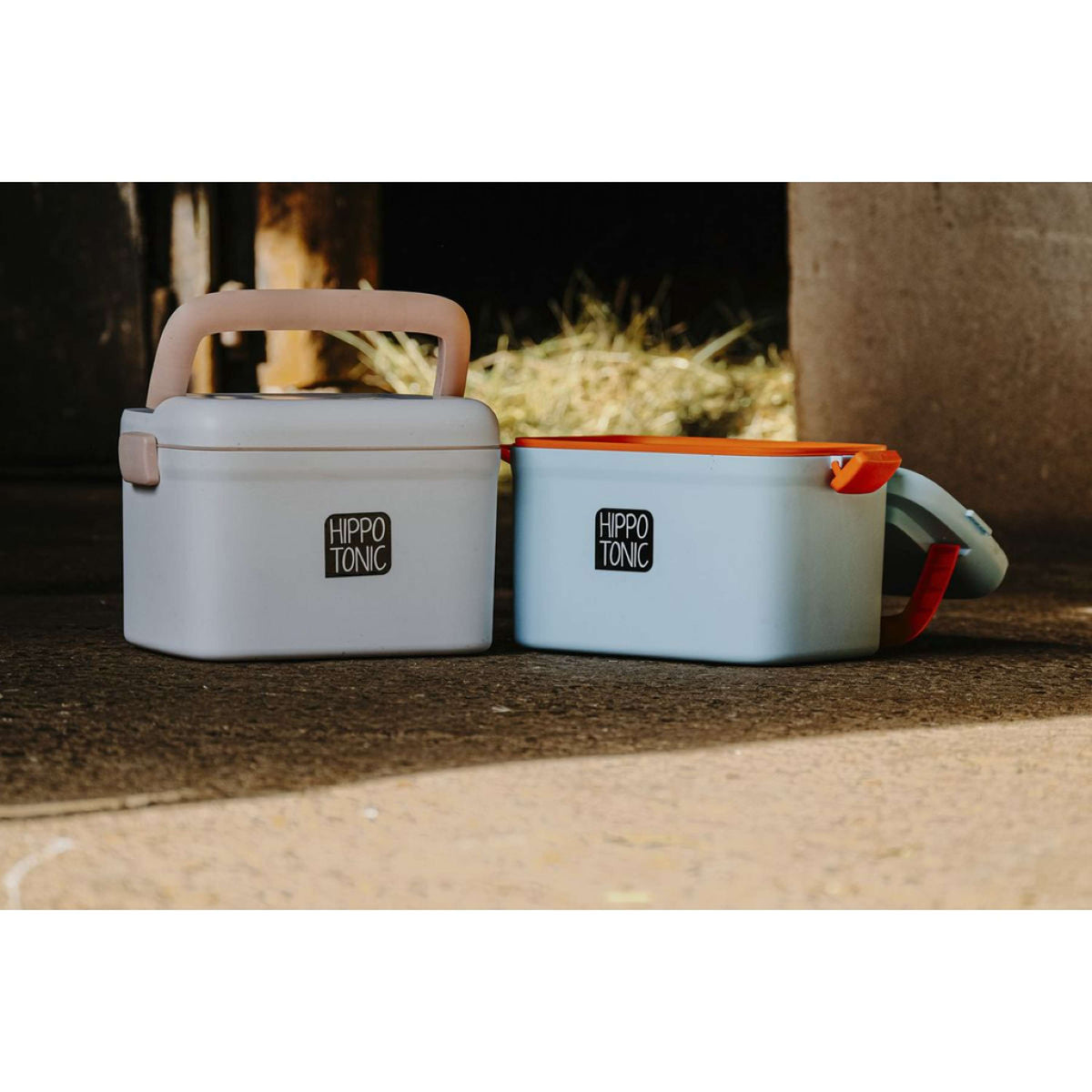 Hippotonic Grooming Box Scooby Blue