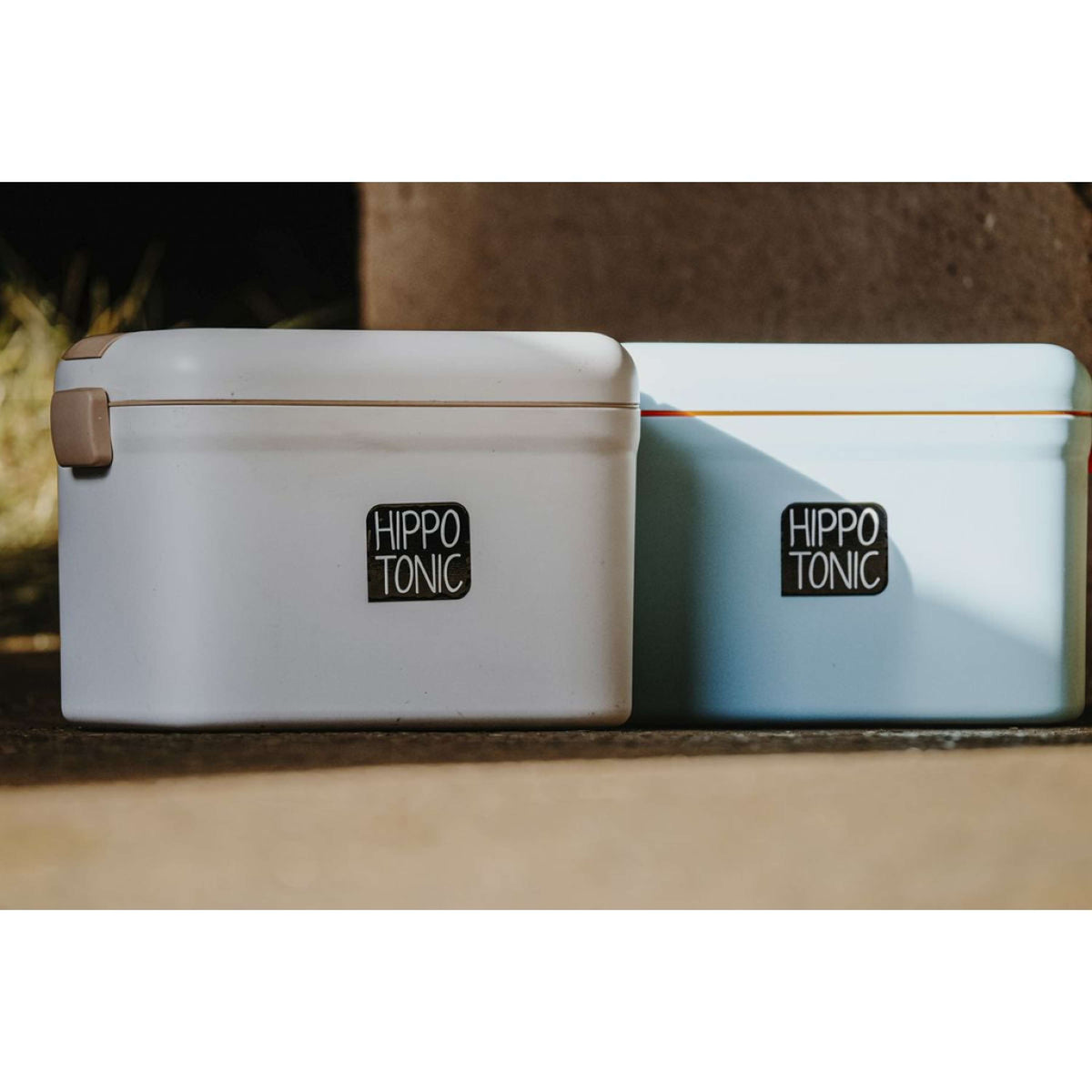 Hippotonic Grooming Box Scooby Blue