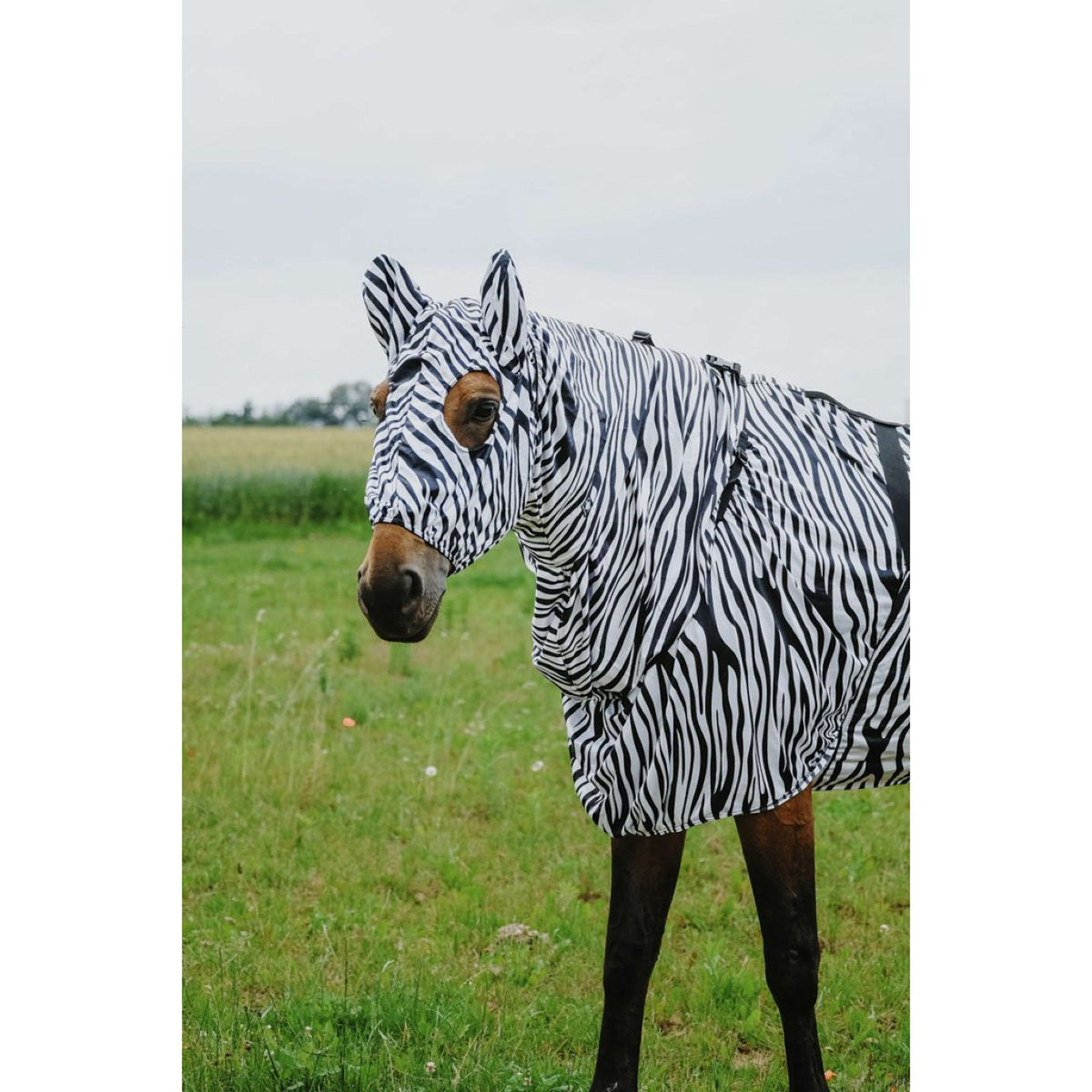 Riding World Eczema Mask Zebra