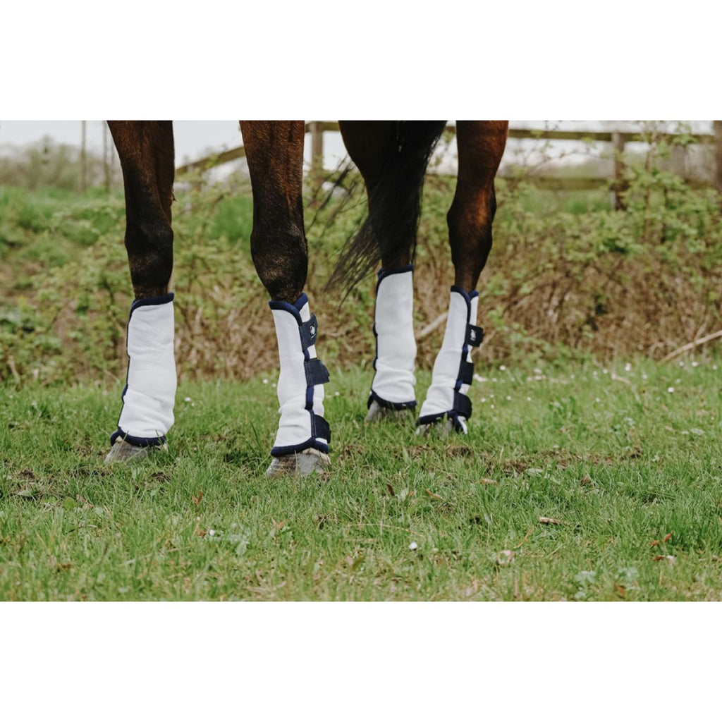 Riding World Fly protectors White
