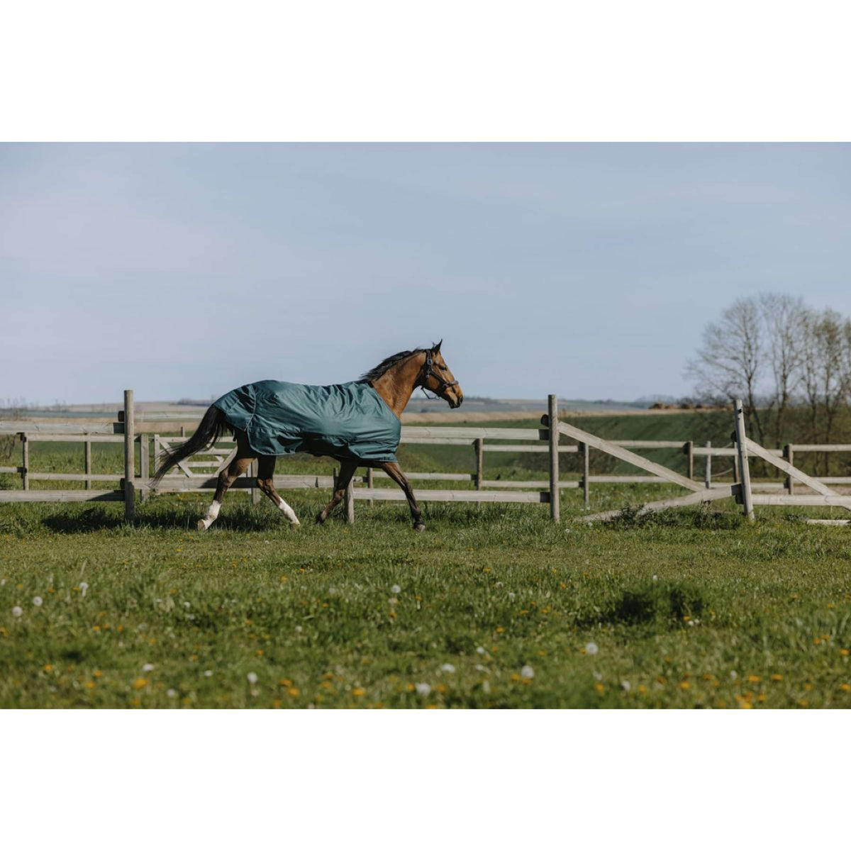 EQUITHÈME Outdoor Rug Tyrex 600D Standard 50g Green