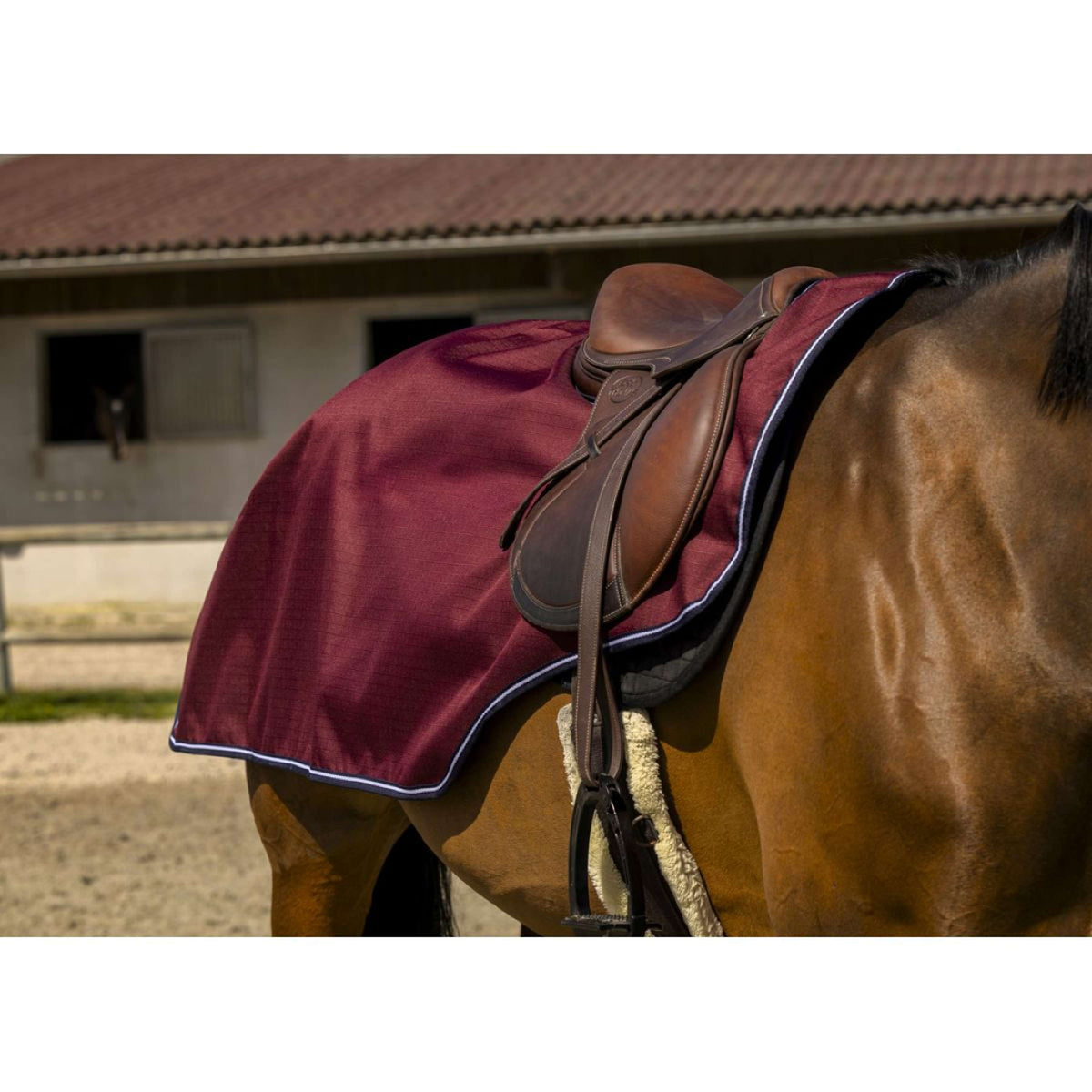 EQUITHÈME Exercise Rug Tyrex 1200D Burgundy