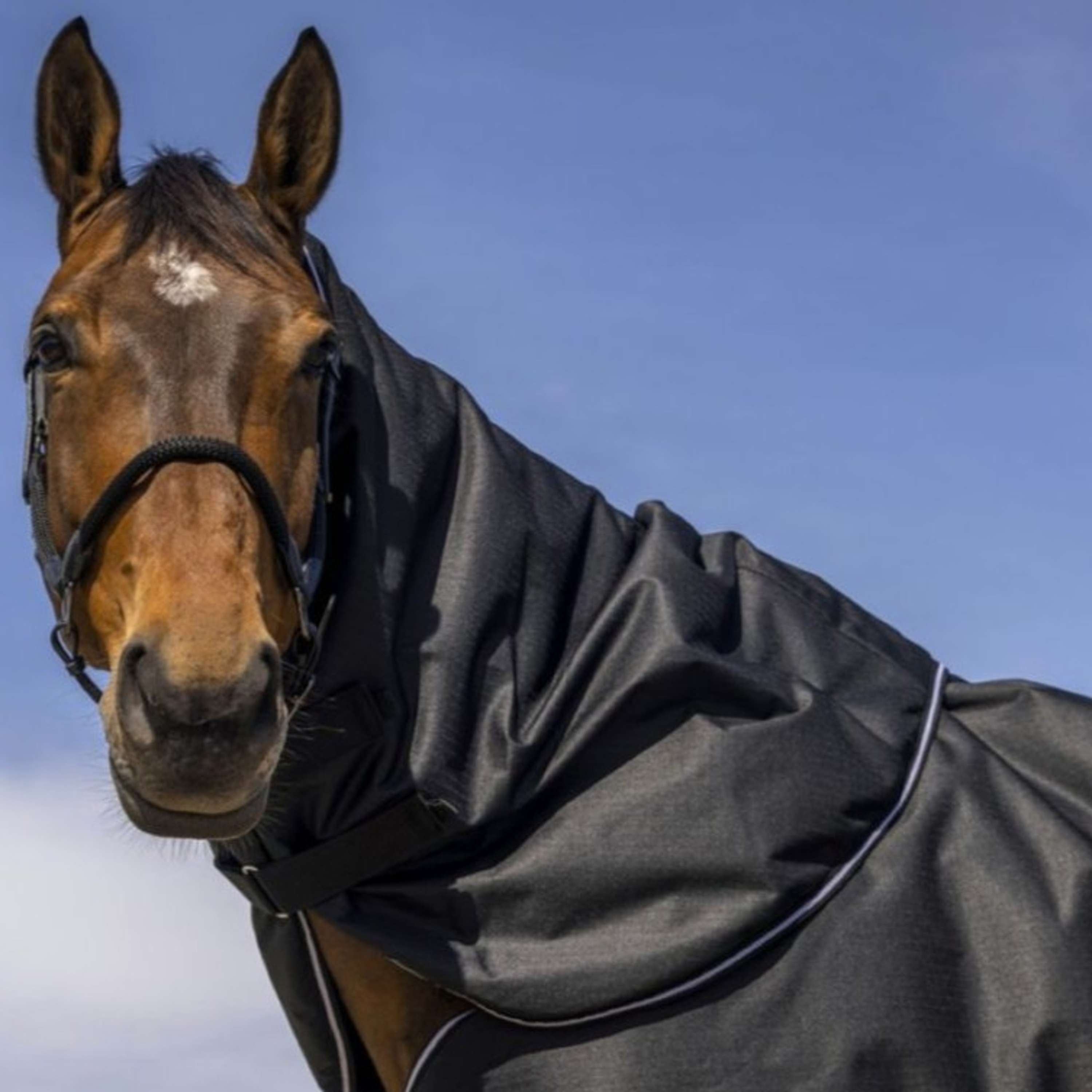 EQUITHÈME Neck Cover Tyrex 600D 0g Black