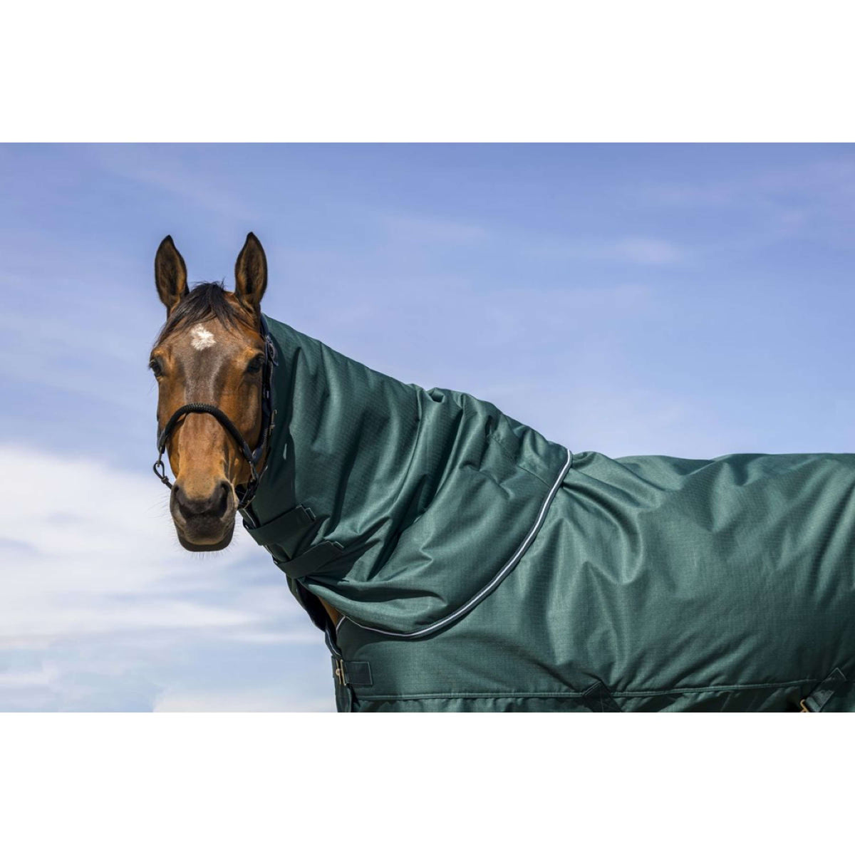 EQUITHÈME Neck Cover 600D 200g Green