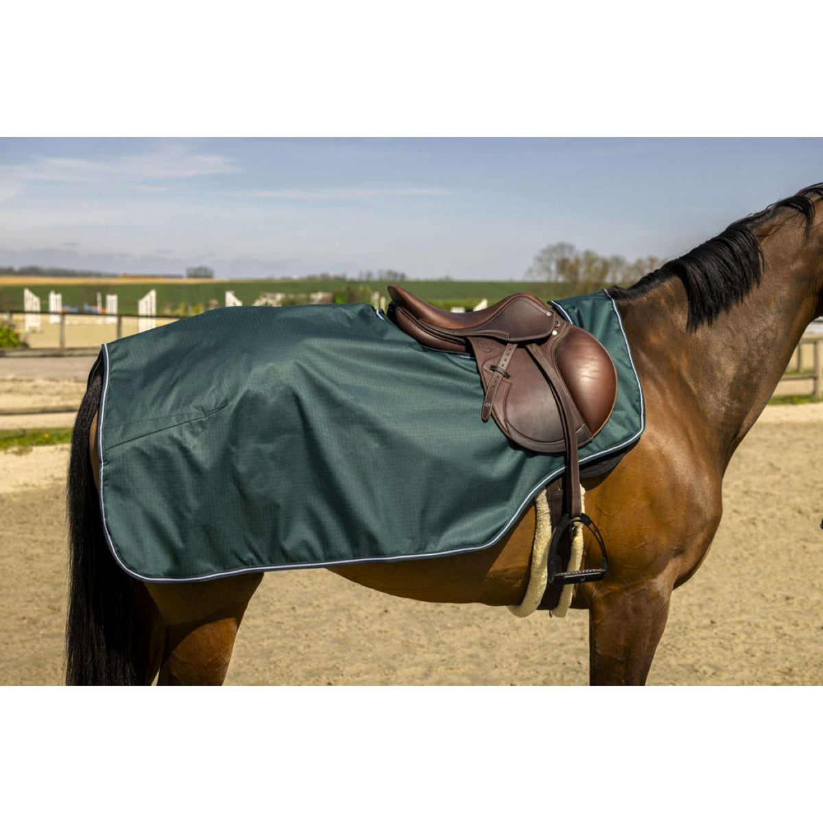 EQUITHÈME Exercise Rug Tyrex 600D Green