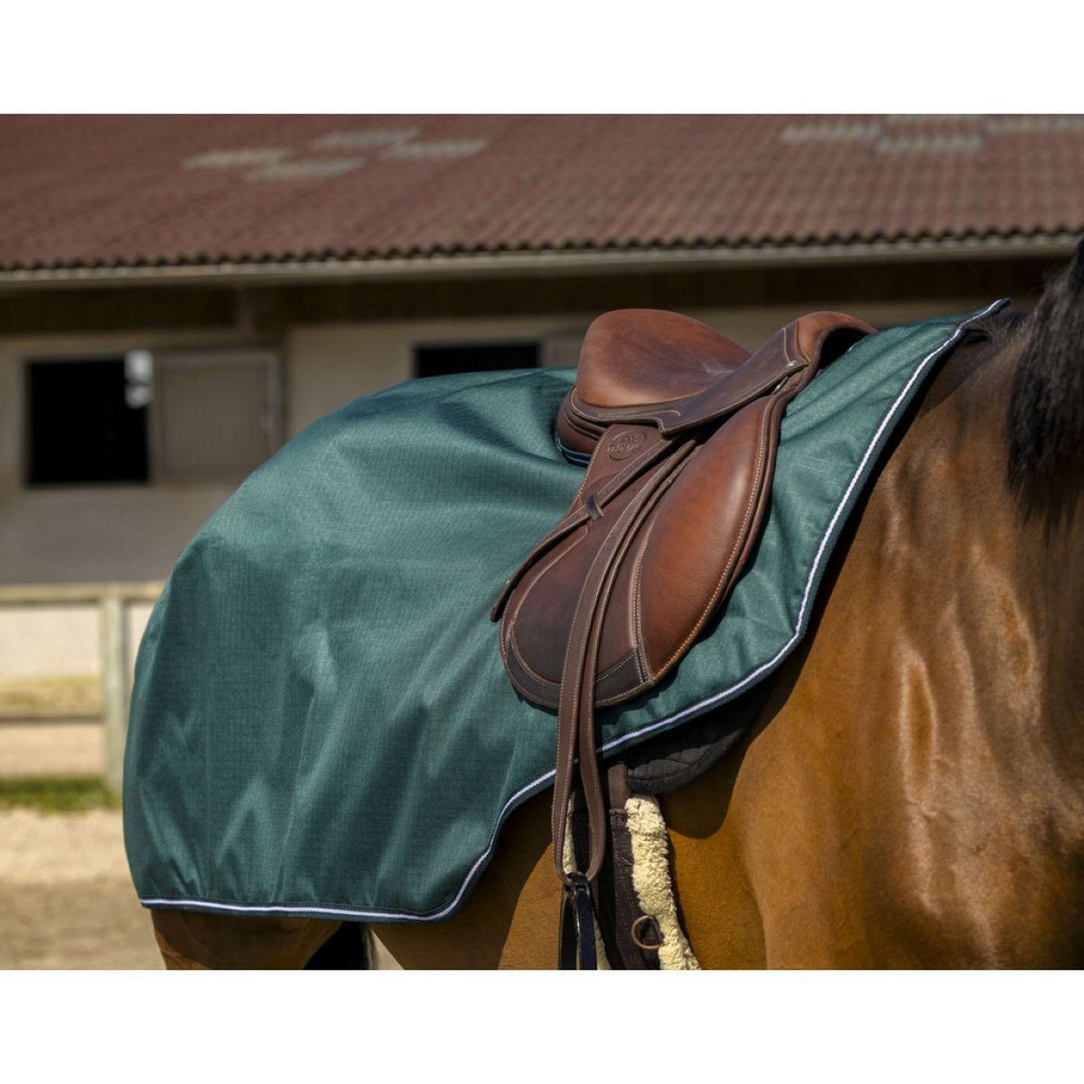 EQUITHÈME Exercise Rug Tyrex 600D Green