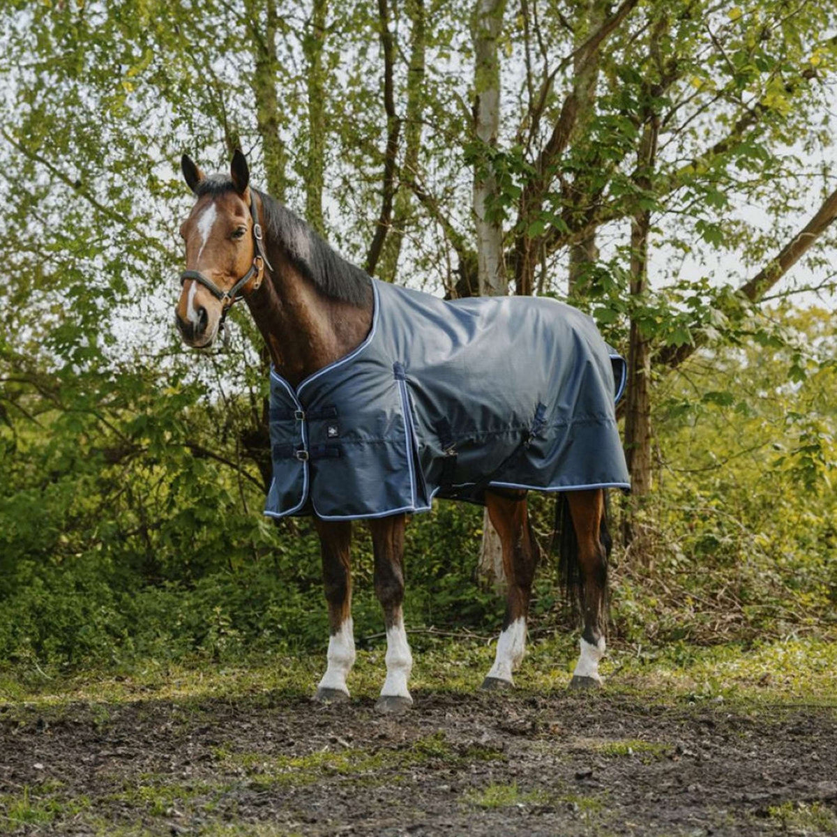 Riding World Outdoor Rug Eco 1200D 220g Navy