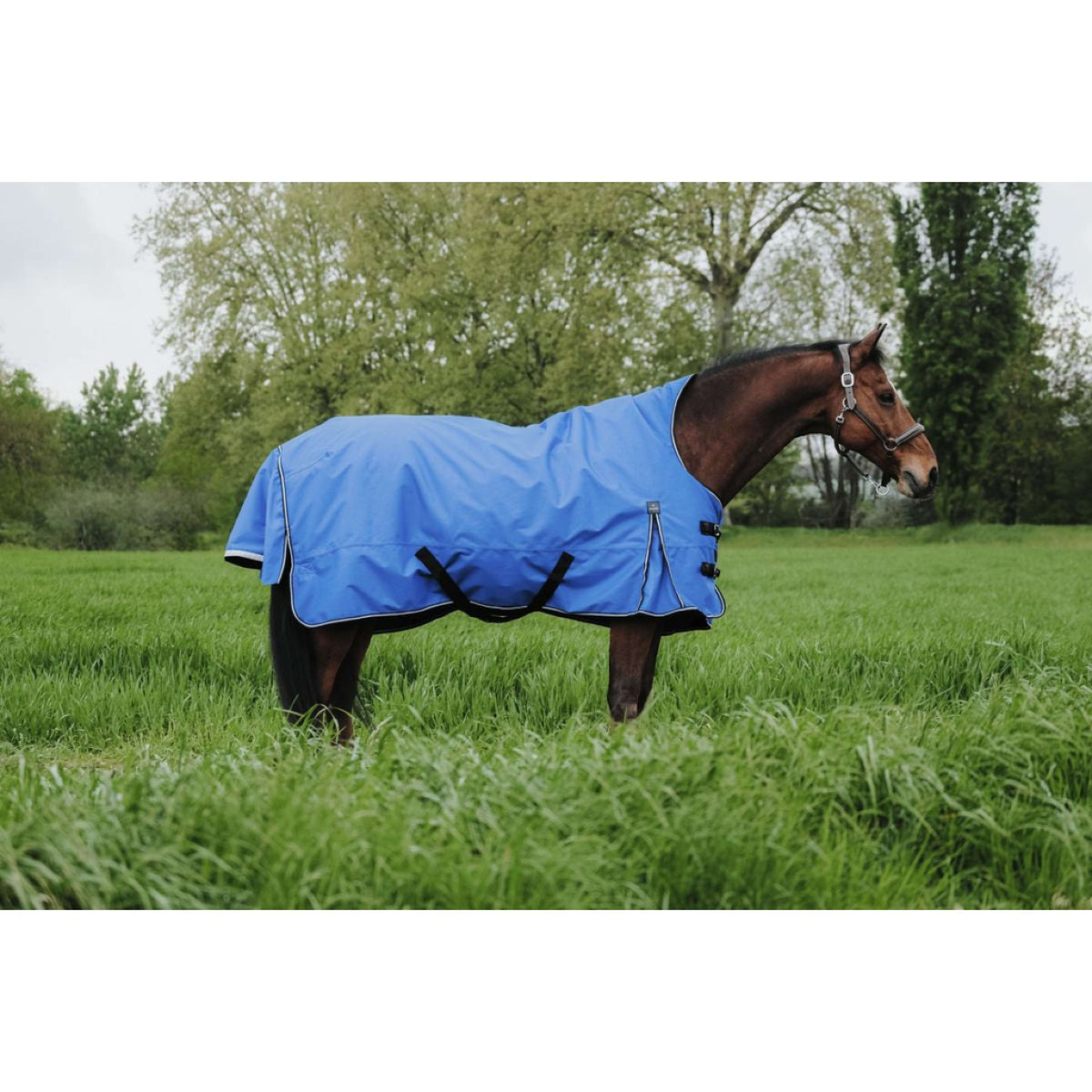 EQUITHÈME Outdoor Rug Tyrex 1200D 150g Aisance High Neck Royal Blue