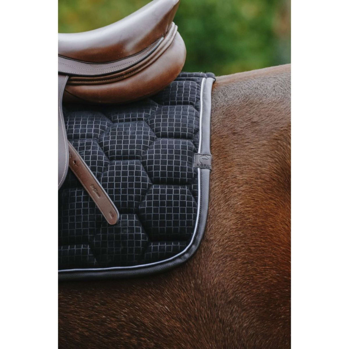 EQUITHÈME Saddlepad Quadri Jumping Black