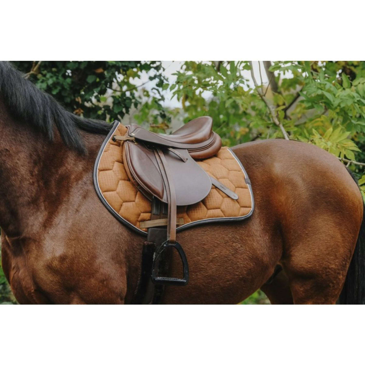 EQUITHÈME Saddlepad Quadri Jumping Camel