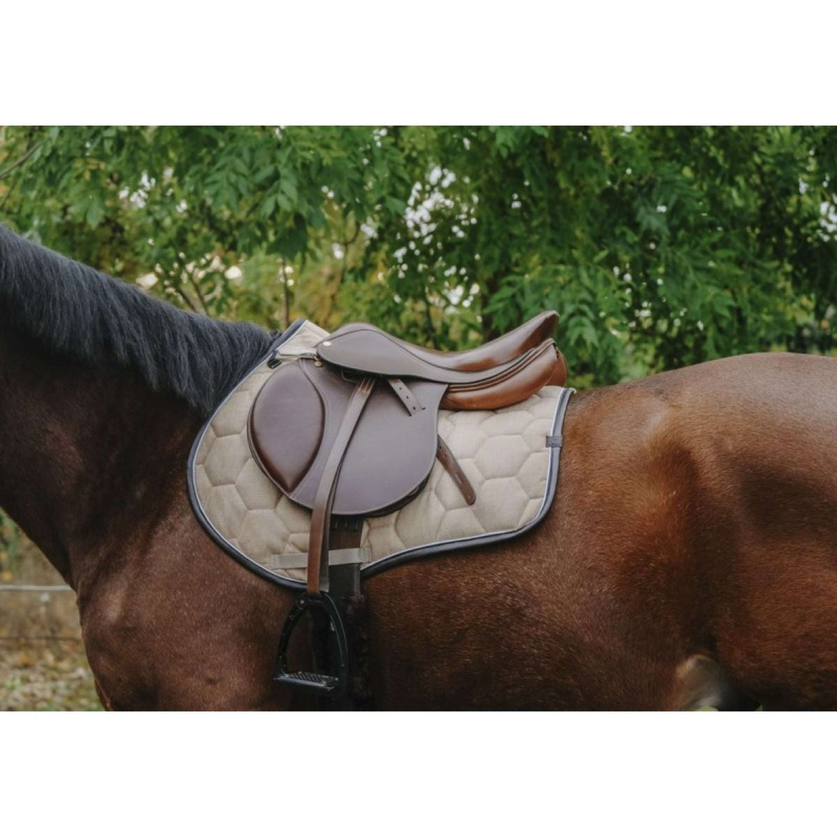 EQUITHÈME Saddlepad Quadri Jumping Beige