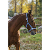 EQUITHÈME Halter Spring Nylon Turquoise