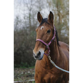 EQUITHÈME Halter Spring Nylon Pink