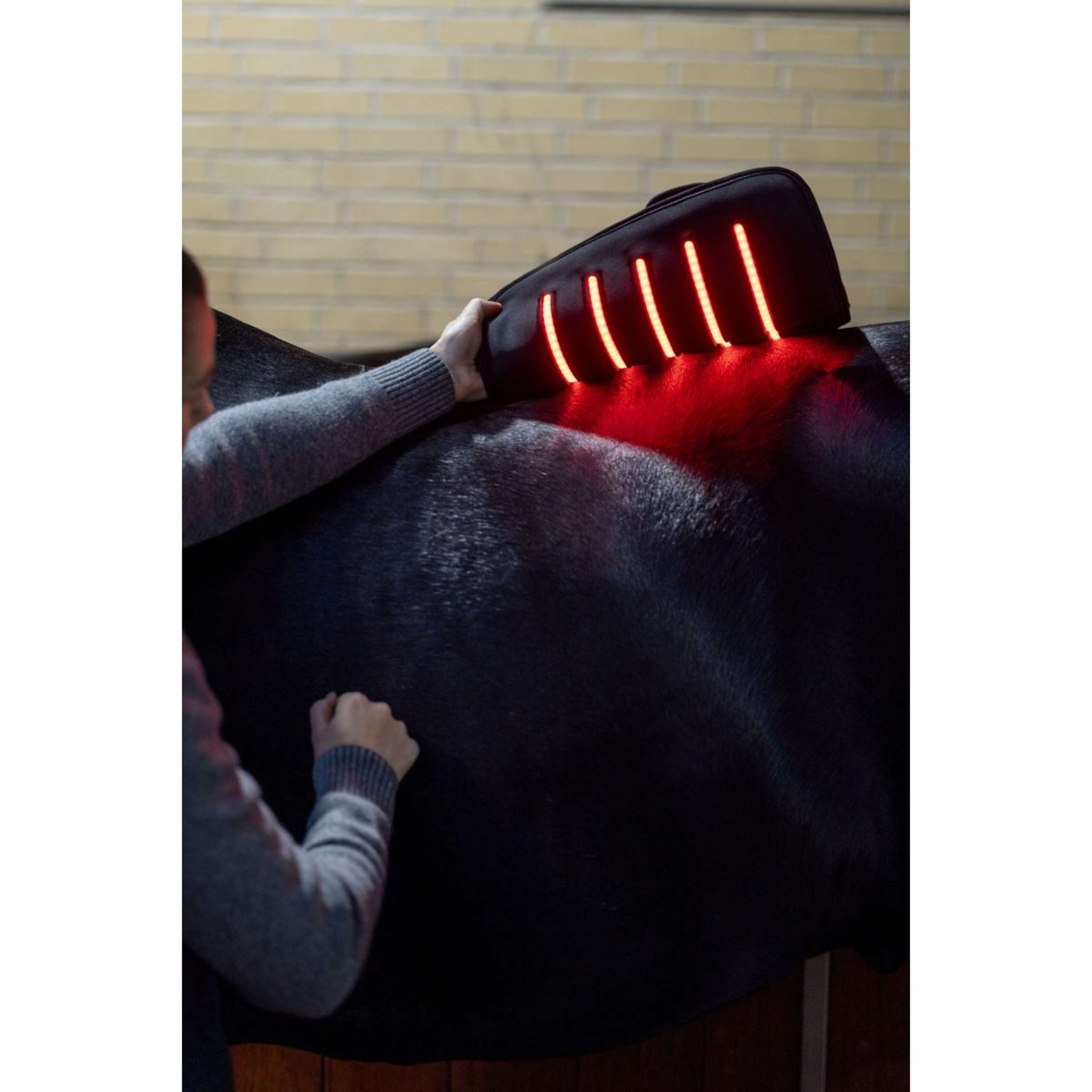 Catago LED Therapy Pad Fir-Tech Q27